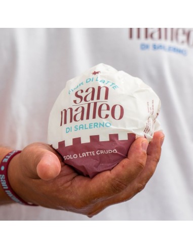 Fior di latte San Matteo