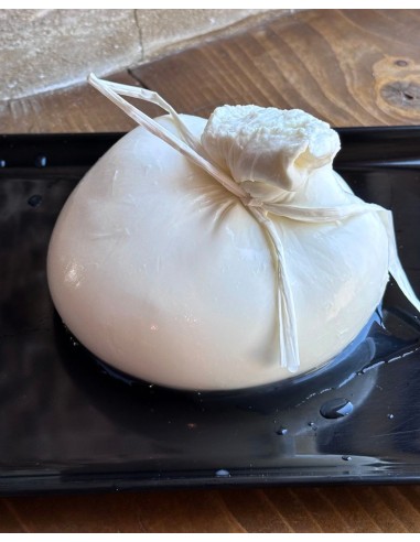 Figliatina di Bufala Campana