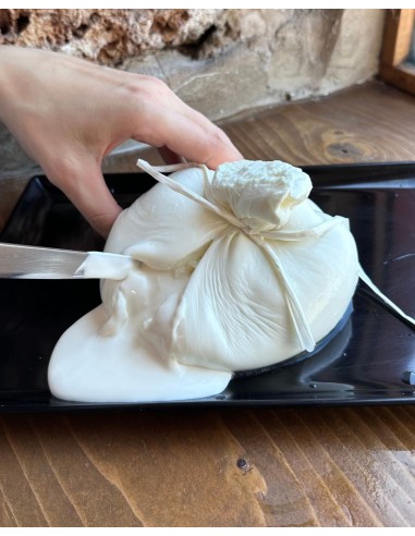 Figliatina di Bufala Campana