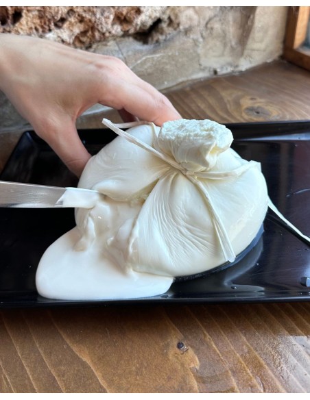 Figliatina di Bufala Campana