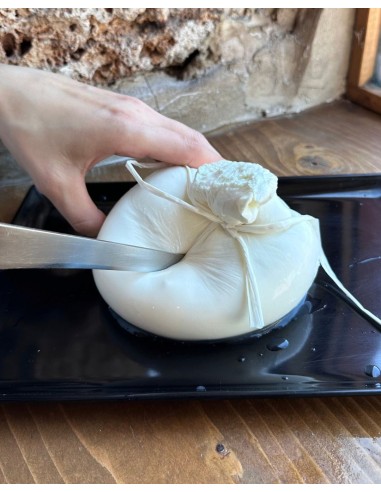 Figliatina di Bufala Campana