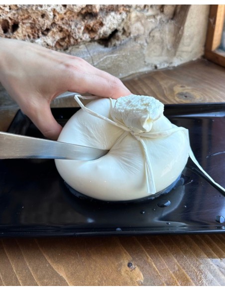 Figliatina di Bufala Campana