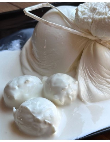 Figliatina di Bufala Campana