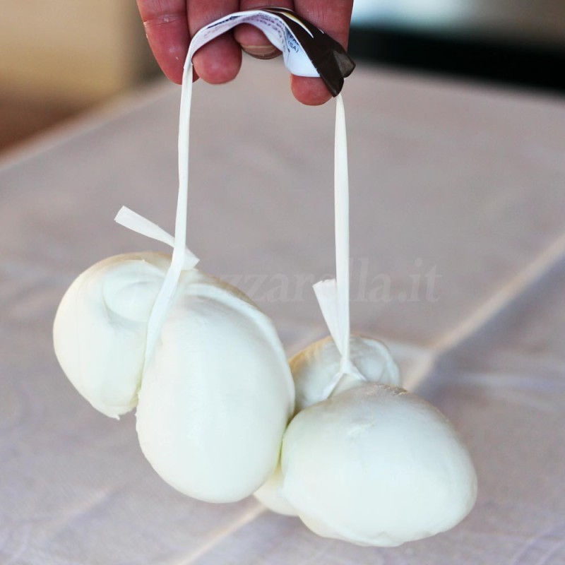 Scamorza vaccino bianca