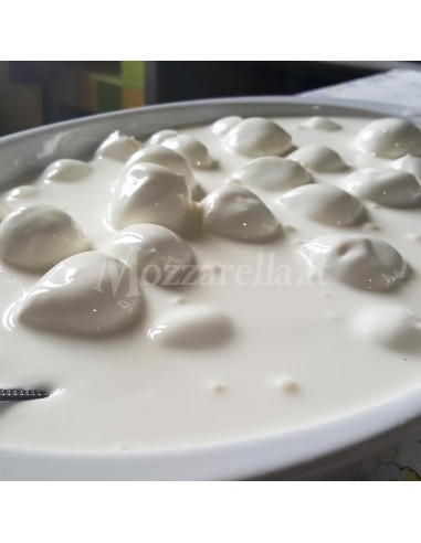 Pannose Ciliegine di Bufala affogate in panna vaccino